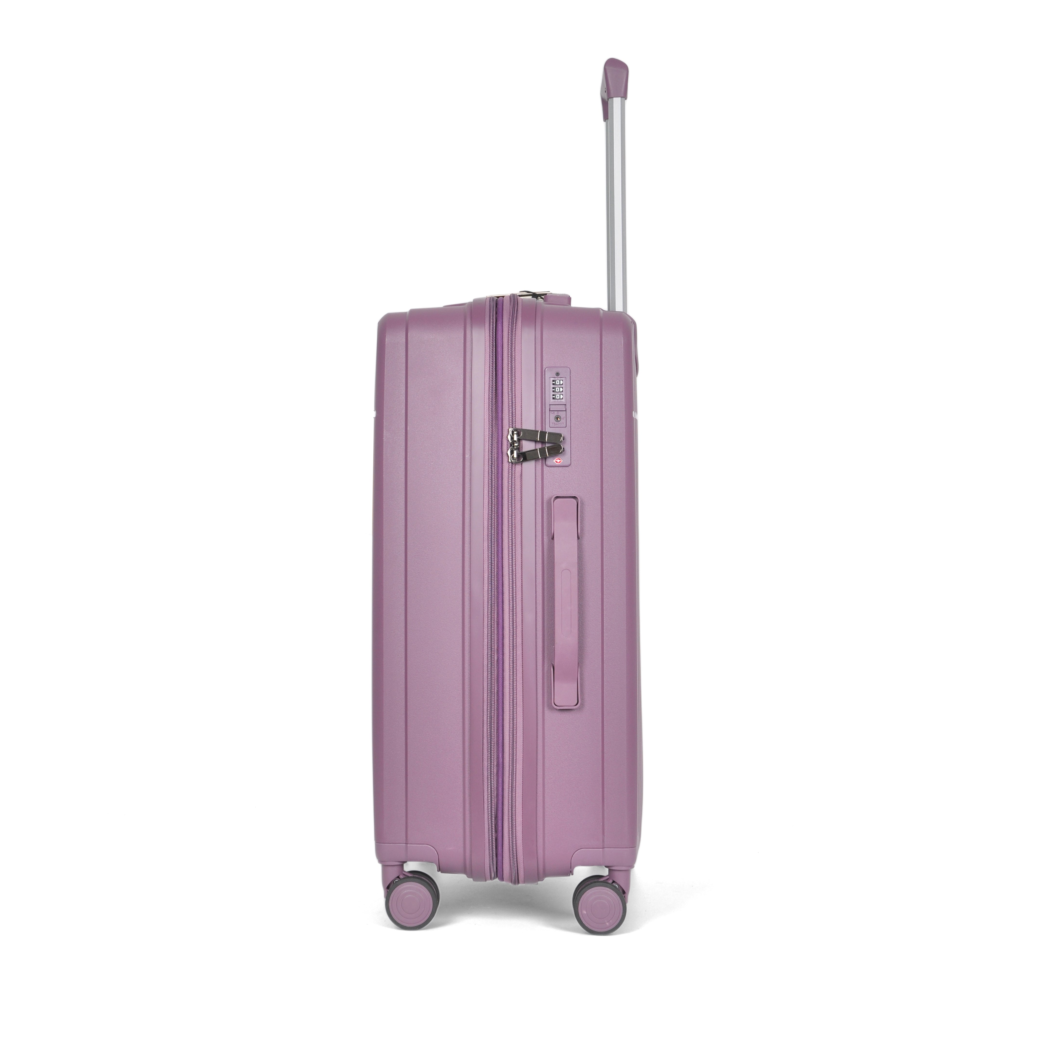 Pensive Oxford Set of 3 Suitcase